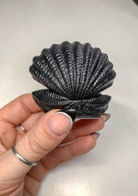 Petit vide poche coquillage noir