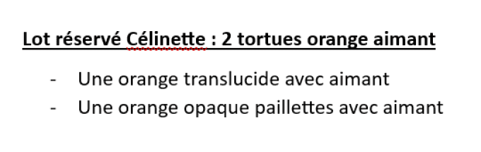 Lot reservé Célinette : 2 tortues aimant 