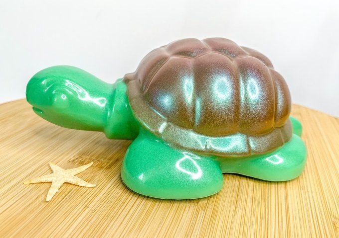 Tortue verte et carapace holo bronze