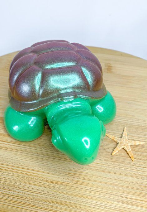 Tortue verte et carapace holo bronze