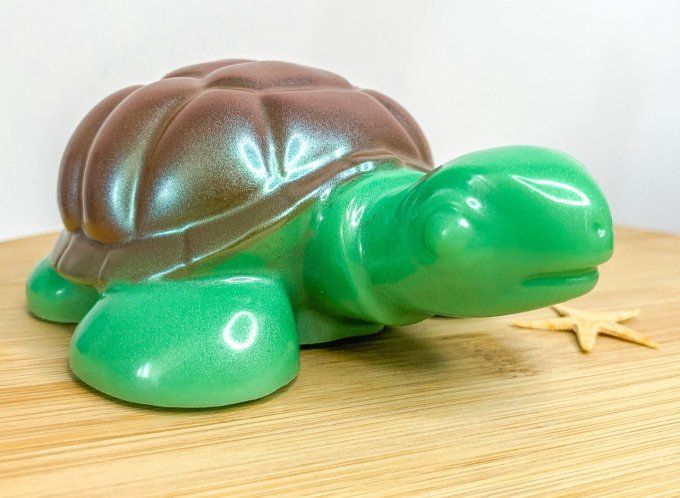 Tortue verte et carapace holo bronze