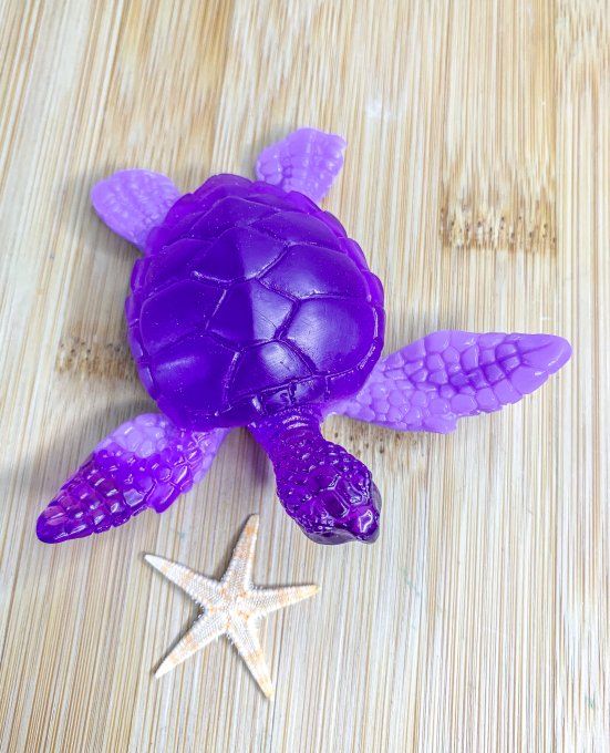 Tortue double violet