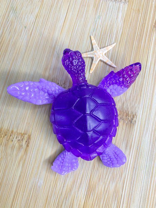 Tortue double violet