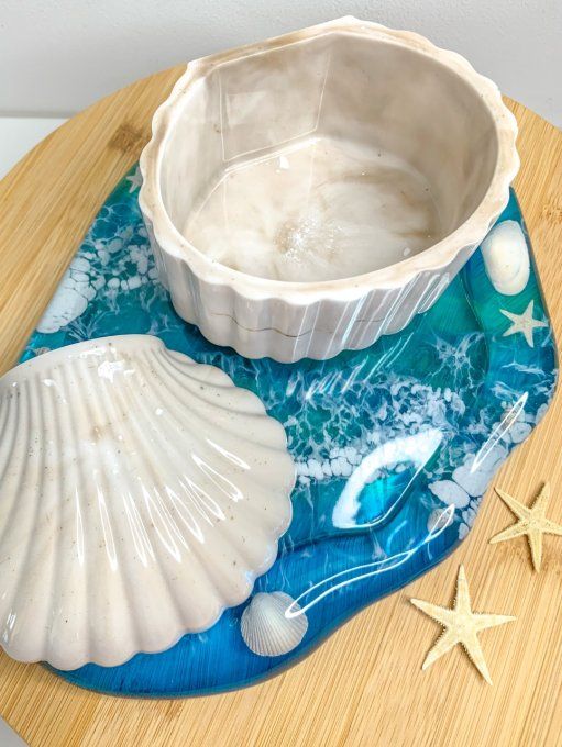 Assortiment océan et boîte coquillage