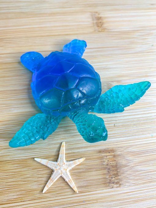 Tortue dégradée de bleus 