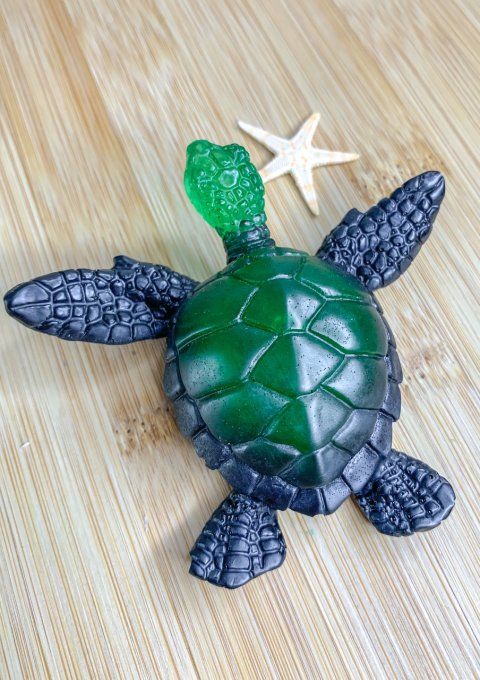 Tortue noire et verte
