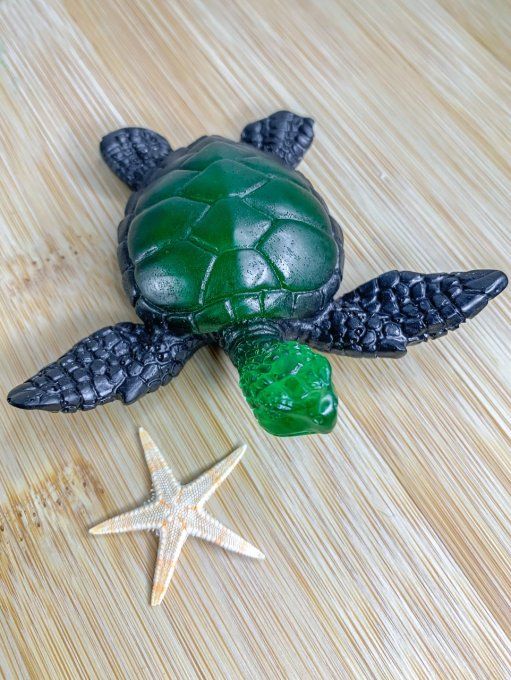 Tortue noire et verte