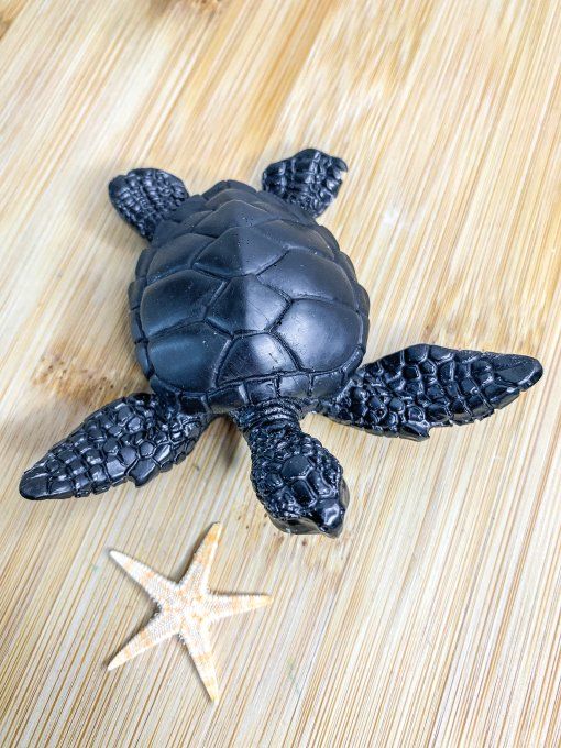 Tortue noire