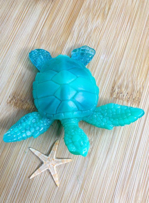 Tortue avec différents turquoises 