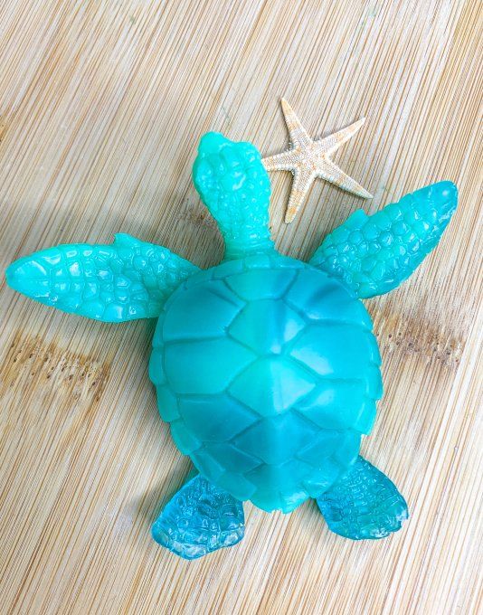 Tortue avec différents turquoises 