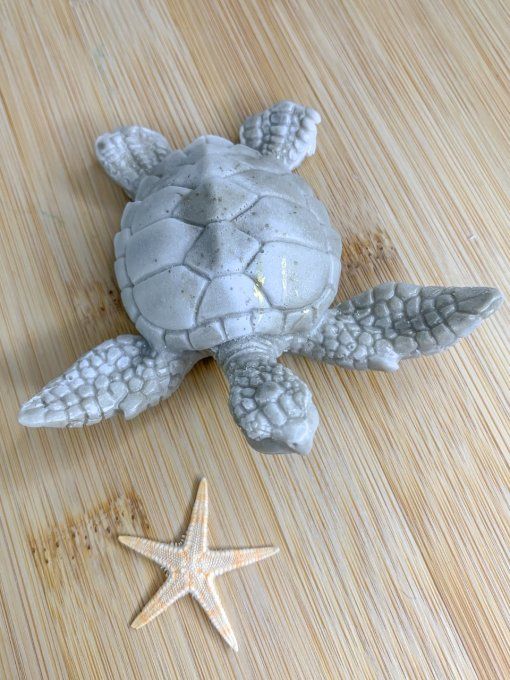 Tortue marbrée blanche et dorée 