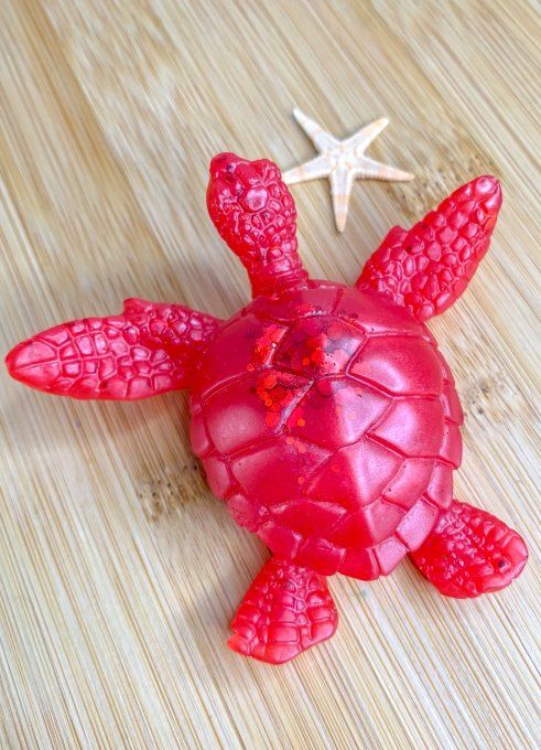 Tortue rouge et paillettes assorties 