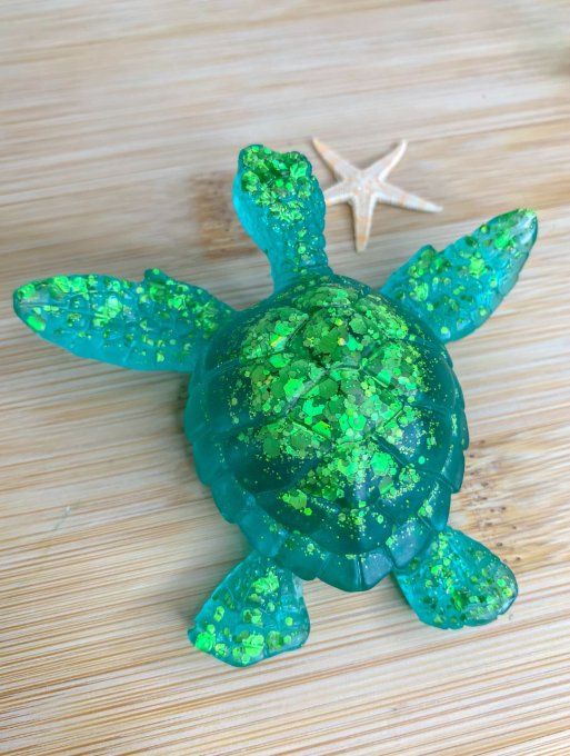 Tortue verte et paillettes assorties