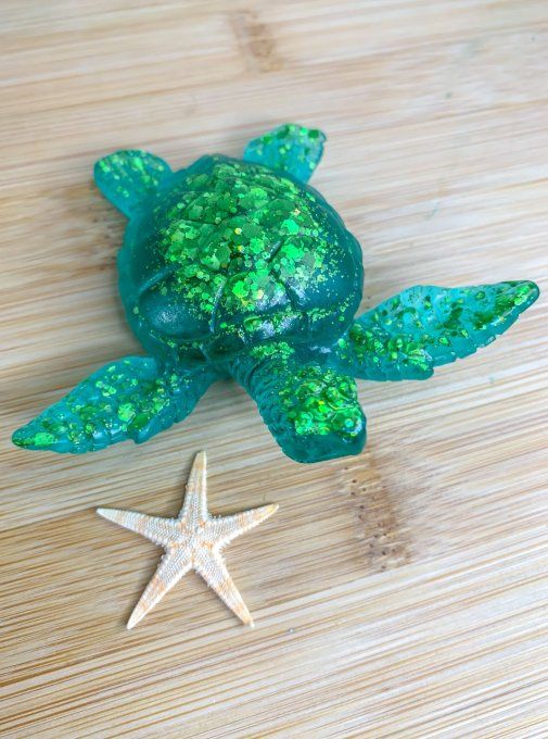 Tortue verte et paillettes assorties