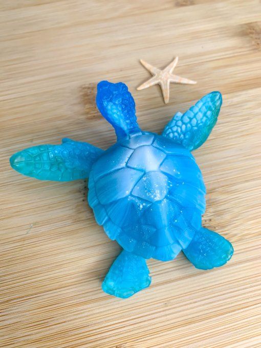Tortue bleu et blanche
