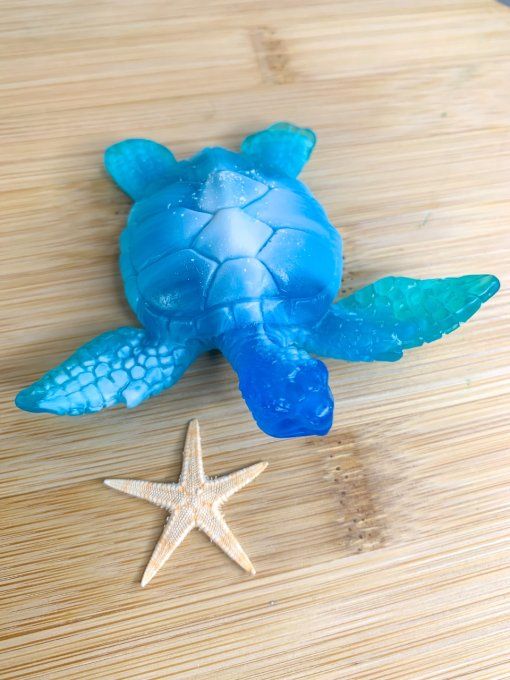 Tortue bleu et blanche