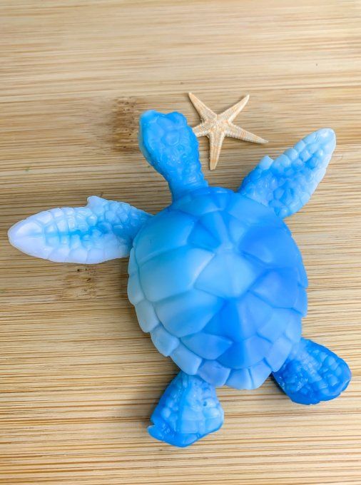Tortue marbrée bleue et blanche 