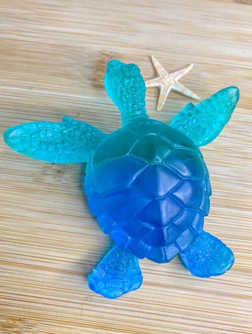 Tortue dégradée de bleus 