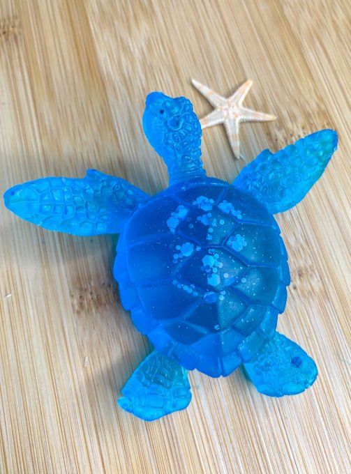 Tortue bleue et paillettes assorties 