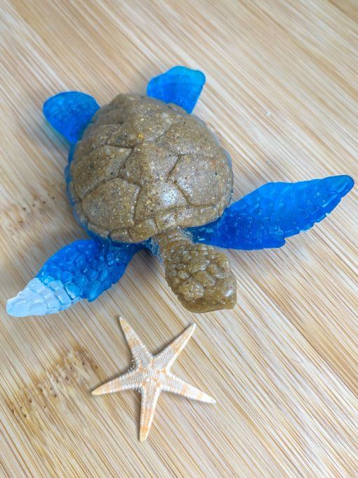 Tortue sable, bleu et transparent