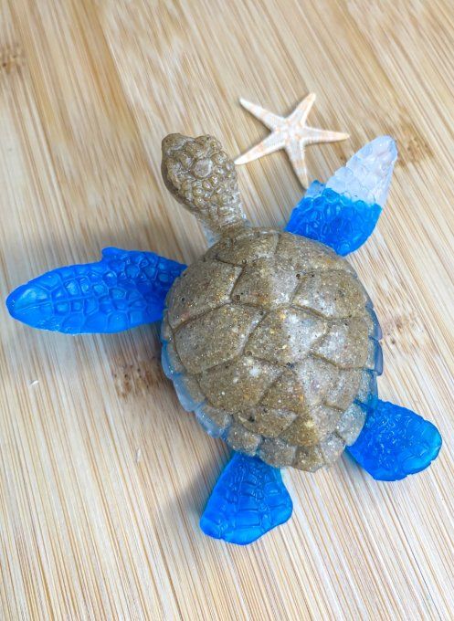 Tortue sable, bleu et transparent