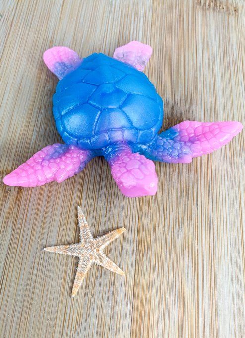Tortue rose et bleue